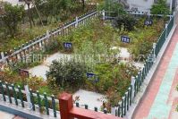 ������ˮ���óͷ�װ�������Ļ�����������Щ