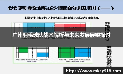 广州羽毛球队战术解析与未来发展展望探讨