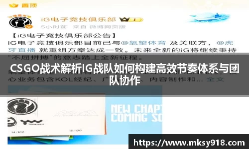 CSGO战术解析IG战队如何构建高效节奏体系与团队协作