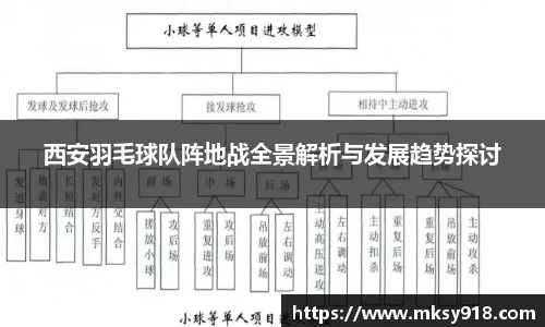 西安羽毛球队阵地战全景解析与发展趋势探讨