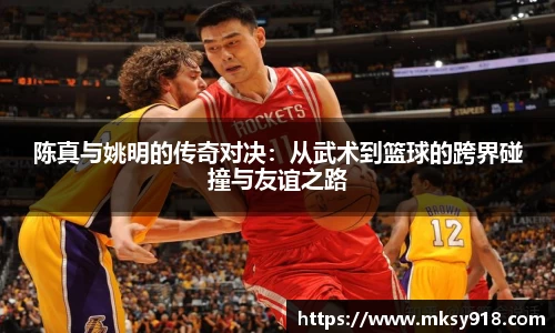 陈真与姚明的传奇对决：从武术到篮球的跨界碰撞与友谊之路