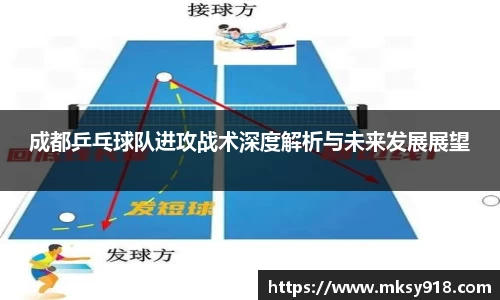 成都乒乓球队进攻战术深度解析与未来发展展望