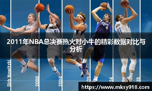 2011年NBA总决赛热火对小牛的精彩数据对比与分析